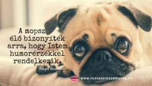 kutyás idézet mopsz