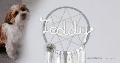 kutyahűség álomfogó névvel